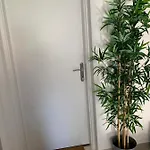 Zrinka 察夫塔特