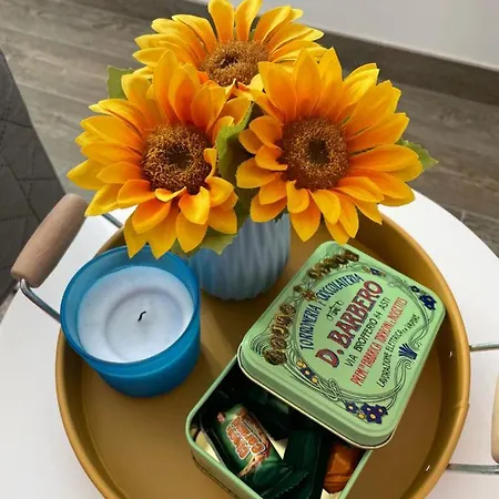 Zrinka Appartement